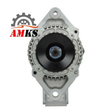 Pièces d'excavatrice Denso Case LESTER 12356