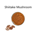 Buy online active ingredients Shiitake Mushroom powder