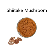 Buy online active ingredients Shiitake Mushroom powder