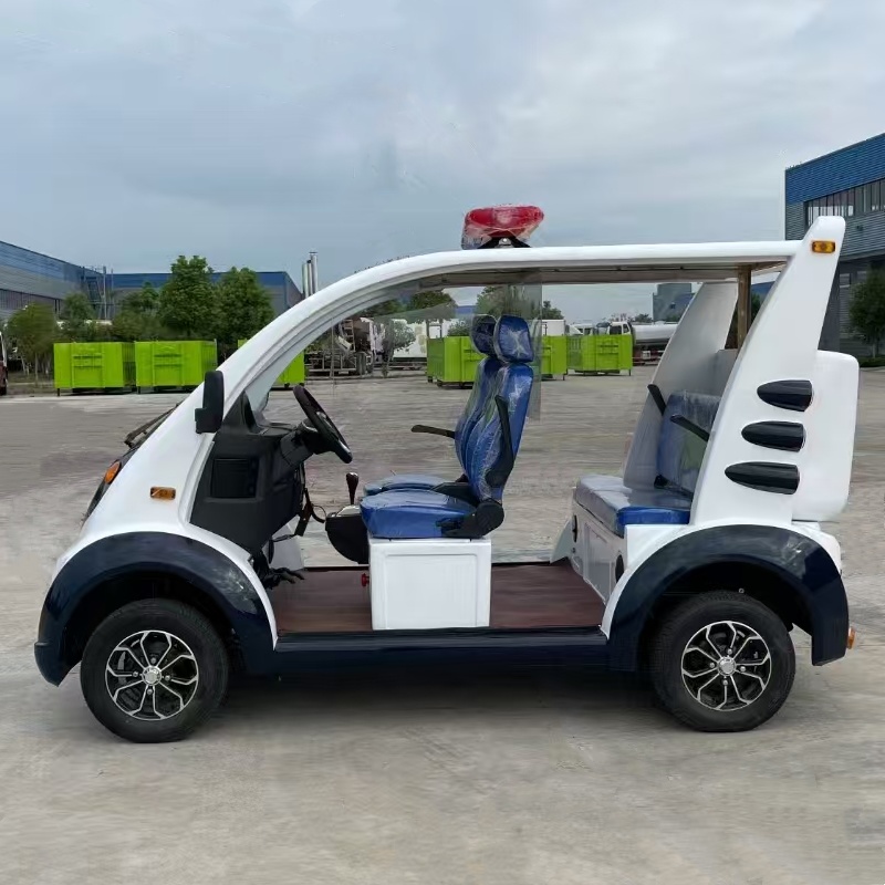 electric sightseeing vehicles