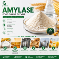 Polvo de enzima glucoamilasa para fermentación de jarabe de glucosa