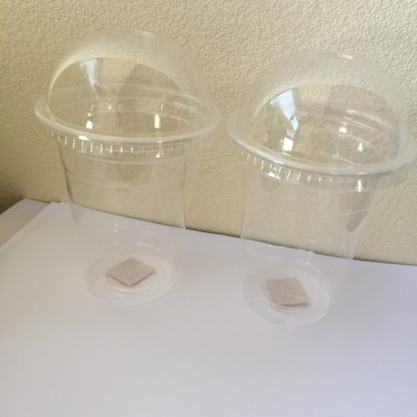 PP Plastic Cups with Dome Lids 3