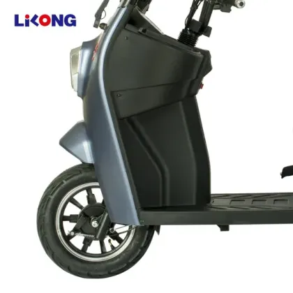 Lilong City Electric Bike E-Bike E Battery