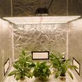 640w Indoor Plant Growing System LED Grow Light