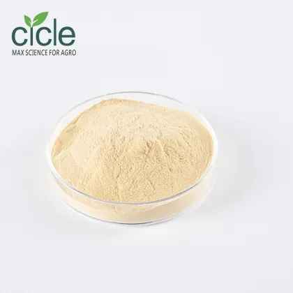 Yeast Extract YE Powder