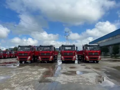 CLW 8X4 double single cab cargo truck