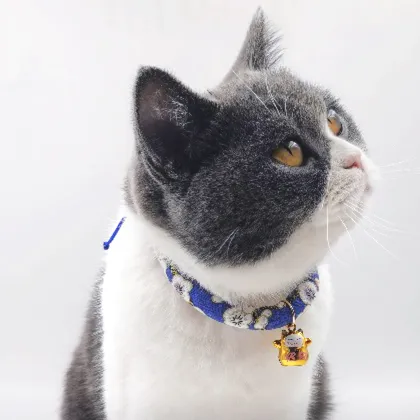 Adjustable Cute Bell Small Pet Cat Kitten Collar