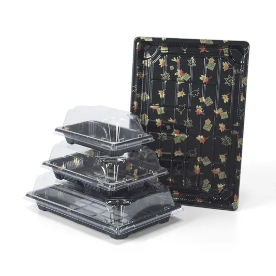 Food Grade Plastic Sushi Tray with Lid