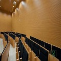 Painel acústico com ranhuras de madeira para salão multifuncional