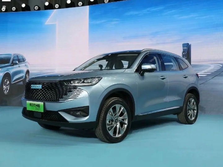 Carro de gasolina de 5 lugares Haval H6