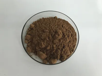 Hot Sell Agaricus Bisporus Mushroom Extract Powder