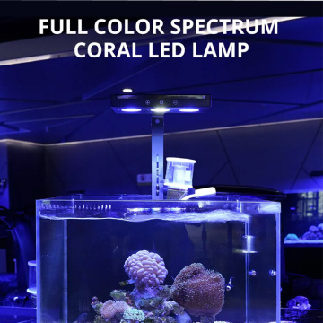 Lámpara de pescado LED de arrecife de coral amanecer al atardecer