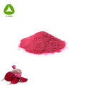 Organisches OEM -Superfood -Antioxidationsmittel -Rote -Beete -Extraktpulver