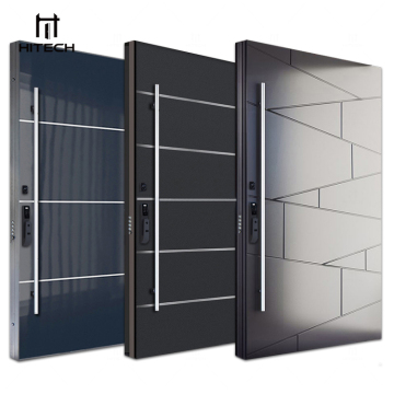 Modern Stainless Steel Pivot Door for Home Exterior Security Entry