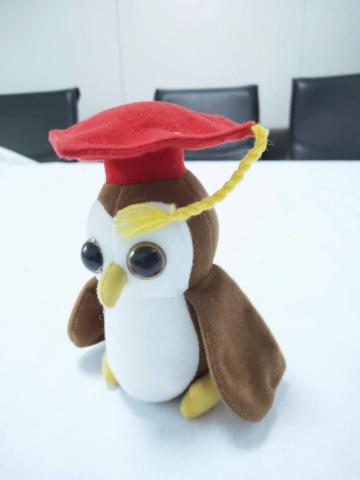 Doctor Plush Bird Toys