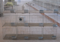 Cage d&#39;élevage de lapin