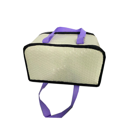 Picnic Insulated Lunch Bag Leakproof Cooler Bag