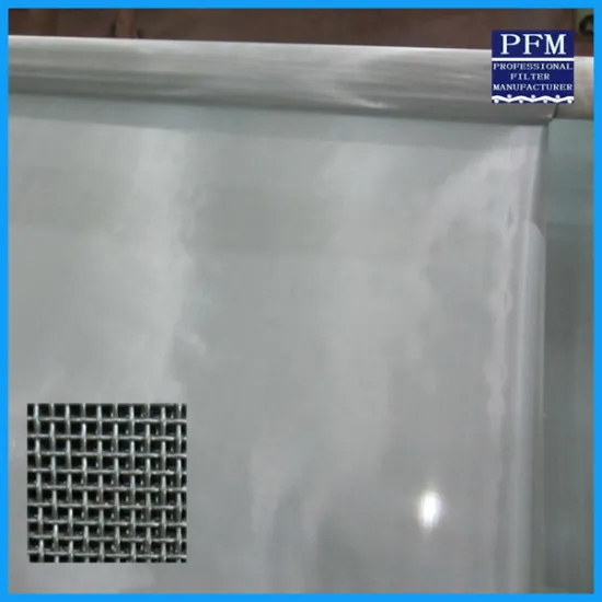 stainless steel micro mesh filter/stainless steel mine screen mesh