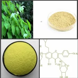 Top quality Icariin goat weed epimedium extract powder