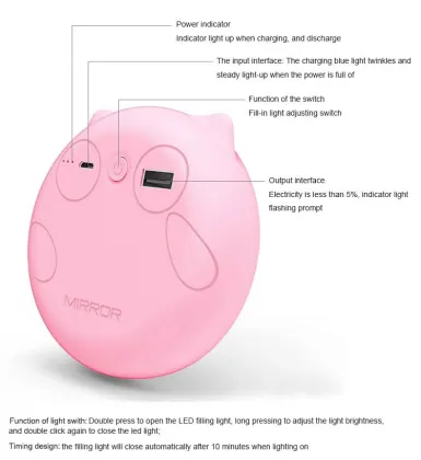 C&C Travel Portable Folding LED Magnifying Makeup Mirror