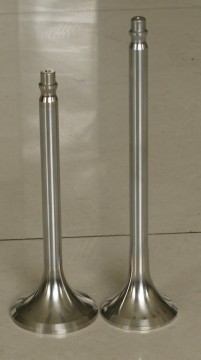Russia Locomotive D49 Diesel Engine Parts Engine Valve