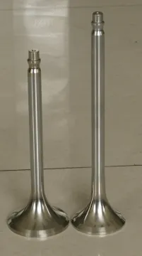 Marine Russia CCCP 8CHN25/34-2 Engine Valve Spare Parts