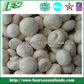 New crop iqf mushroom slices