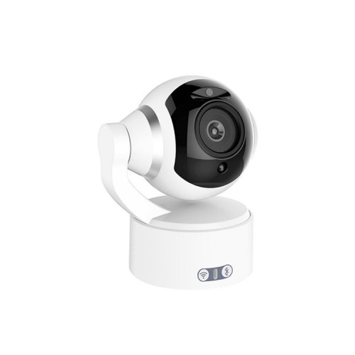 Security Wireless Network Camera with Motion Sensor