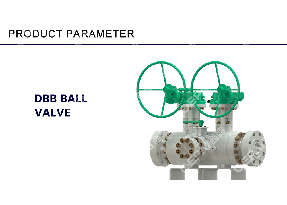 DBB Ball Valve012.