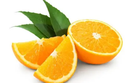 Citrus Fruits Extract Powder