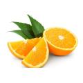 Citrus Fruits Extract Powder