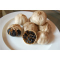 Black Garlic Schwarzer Knoblauch Fermentieren