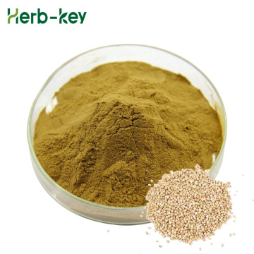 tartary buckwheat extract 30% flavonoid content powder