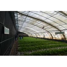 Greenhouse zéro énergie