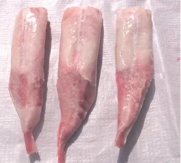 frozen monkfish tail seafood long-term quality