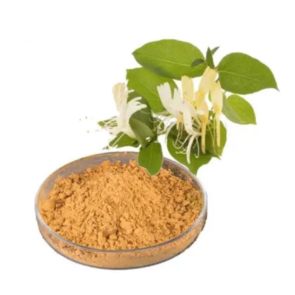Best pure natural Honeysuckle Extract in stock
