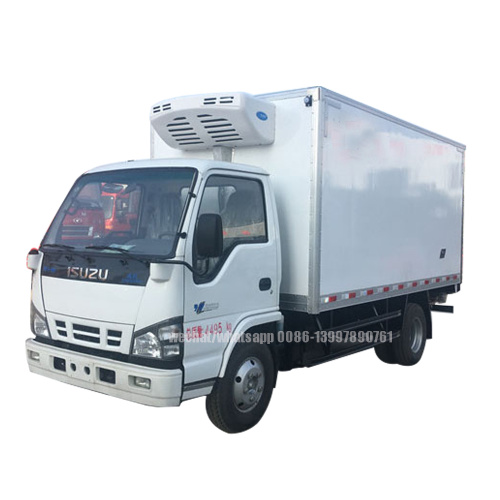 Caminhão Aquecedor / Congelador ISUZU 600P 6-8 Toneladas