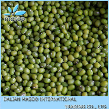 Sale Bulk Green Vigna Beans