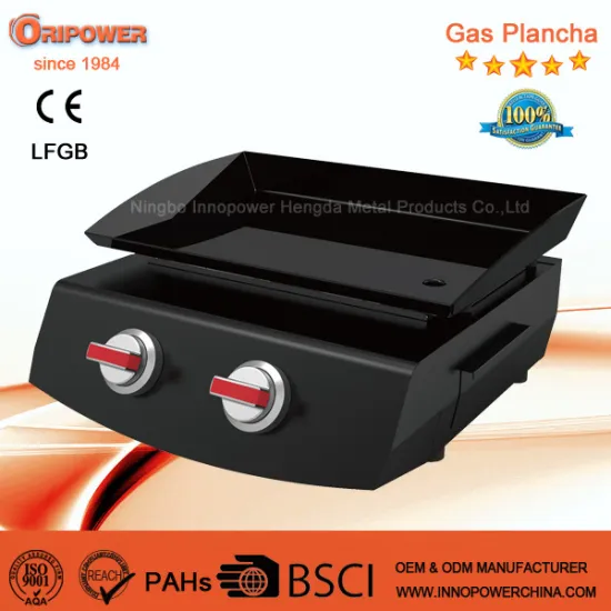 2 Burners BBQ Gas Grill