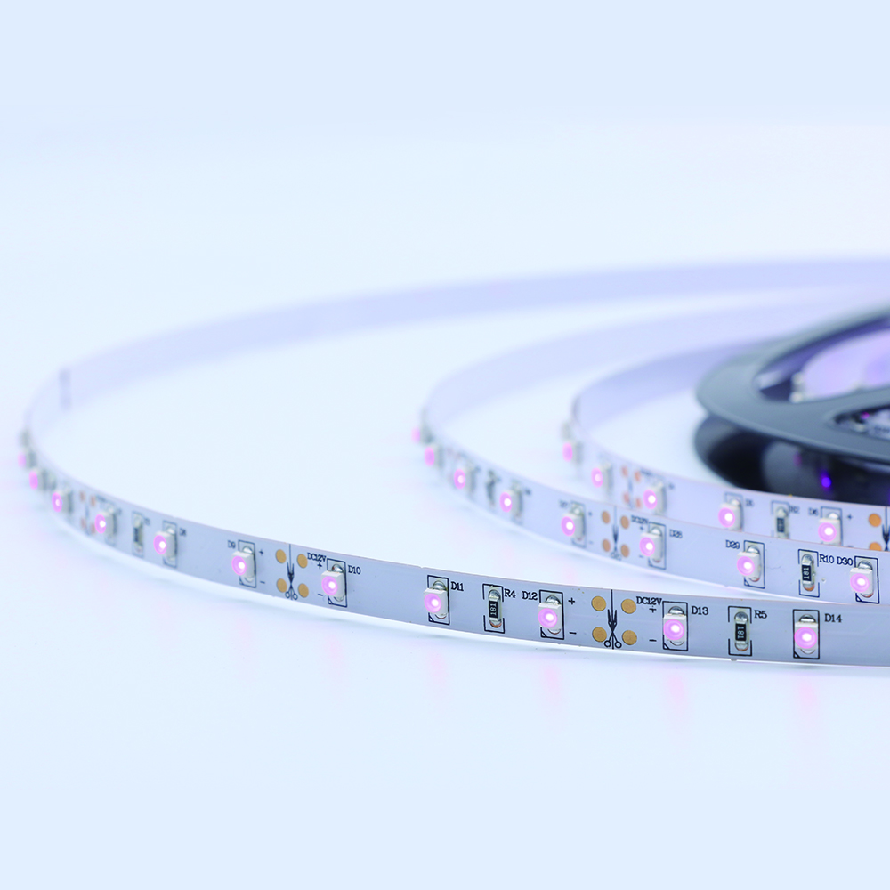 Purple 60led strip light