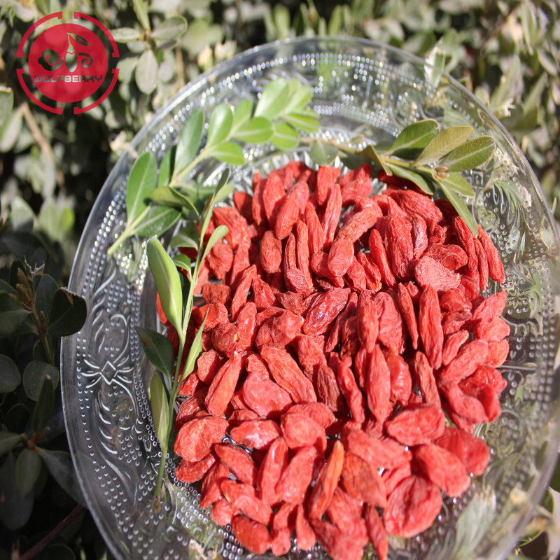 Högkvalitativa smaker Great Chinese Goji Berries