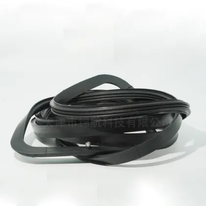 Advanced Rubber Inflatable Seal Technology