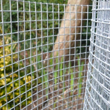 galvanized 8 gauge 10 gauge welded wire mesh for garden fence