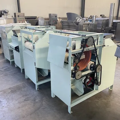Automatic Wet Peeling Machine for Peanuts and Almonds