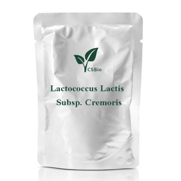 lactococcus lactis subspのプロバイオティクス粉末。クレモリス