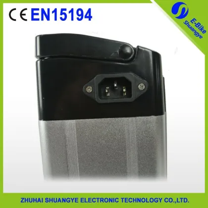 Green power shuangye lithium electric bike battery