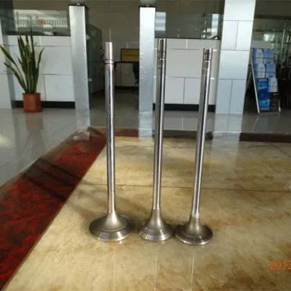 Boat Marine Engine Parts Outboard Motors N330 Exhaust valves Engine Valves