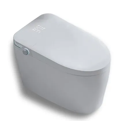 Modern Automatic Smart Toilet Sanitary Ware