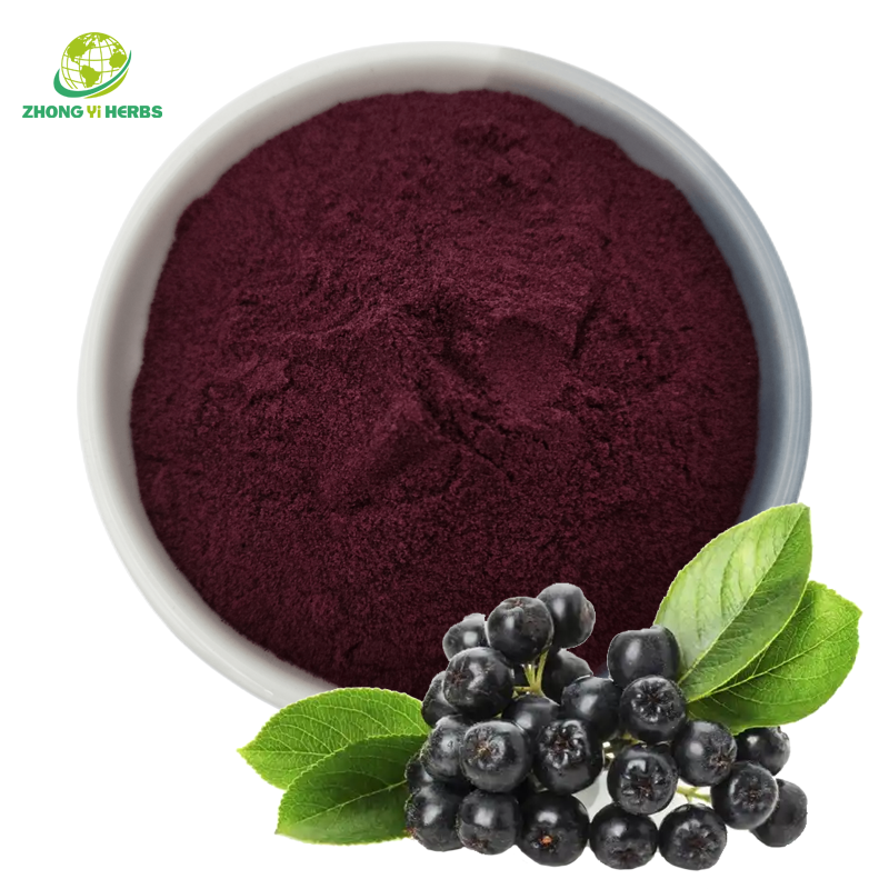 Aronia Açaí Extrato de Berry Antocianina Aronia Berry Powder