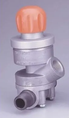 Thompson Valve